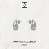 Silver Small Drop Earrings
